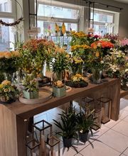 Martin's Blumenwelt Bild 5