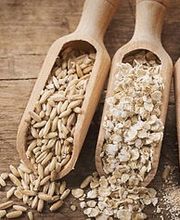 Chez Andrea Bio Bild 12