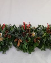 Oesch Fleurs & Jardins SA Bild 8