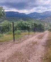 195098439-1-4PAluZ17Qc1782194726952.jpeg