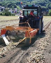 Azienda Agricola Mozzini Roberto Bild 7