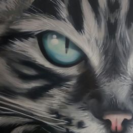 CLINICA FELINA BARCELONA