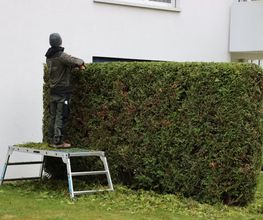 Ledergerber Gartenpflege AG Bild 8