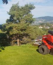 Borlat Paysages Bild 1