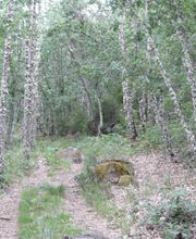 DesbrozArte imagen 1