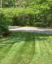 Brace Lawn Care image 13