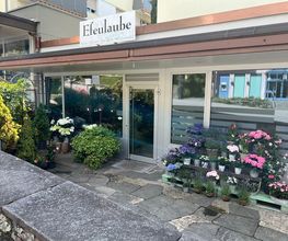 Blumengeschäft Efeulaube Bild 1