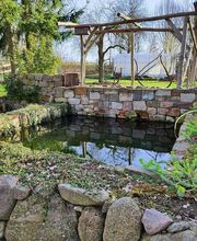 Wurzel & Blüte Bild 1