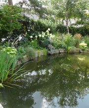 Palatinum Landschafts und Gartendesign GdbR Bild 9