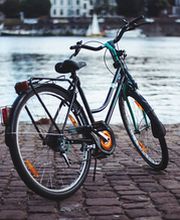 OISEsuisse SA Bild 4