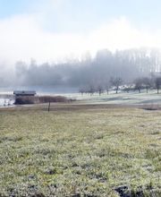 Mistel-Apotheke Bild 6