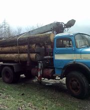 🌲 Segheria Lombardi Sagl 🌲 Bild 6