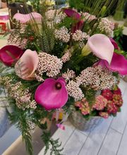 Gallery Cliente