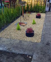 Kaya Dienstleistung & GaLaBau Bild 3