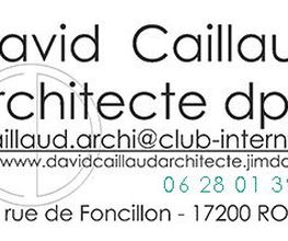 Caillaud David image 2