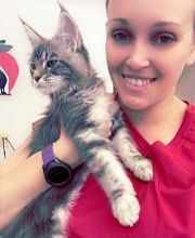 Apple Valley Veterinary Clinic image 15