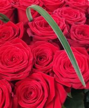 Atelier Cagna-Fleurs Bild 1