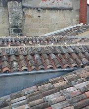 Duzan et Fils image 12