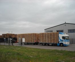 Spruijt Pallethandel