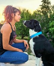 Bien dans ses Pattes image 1