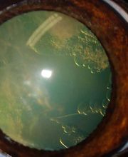 Clinique vétérinaire des Ducs de Bourgogne image 11