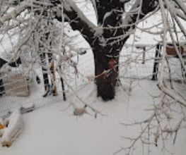 JARDIN DES MARMOTTES image 10