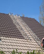 Espace Vert Mc image 12