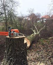 FH Gartenlandschaftsbau / Hausmeisterservice Bild 7