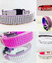 dogsland GmbH Bild 13