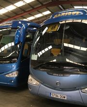 hansbus2.jpg