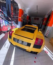 Gallery Cliente