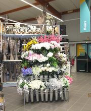 Centrakor Vire image 7