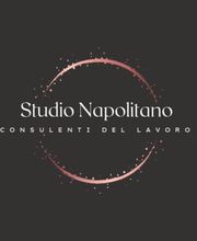 Studio Napolitano (Consulenti del Lavoro) immagine 2