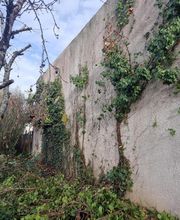 Bouche Nicolas image 18