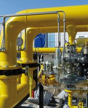 ELLEVI GROUP immagine 13