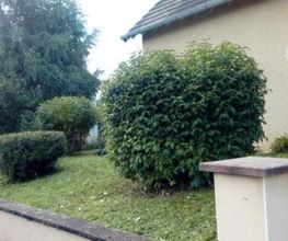 Entretien paysager image 3