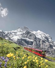 Kleine Scheidegg - Top of Hiking Bild 3