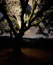 Smart Electro image 1