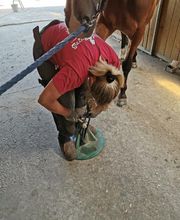 Champeaux Élodie marechal ferrant 27 eure image 8