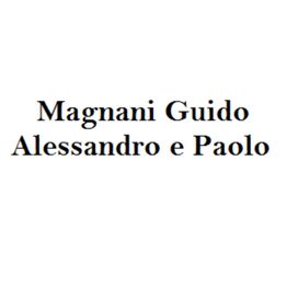Studio Notarile Magnani logo