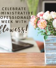 Broad Brook Gardens image 15