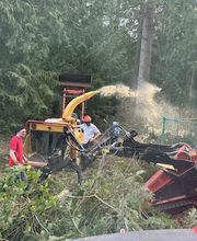 Saylor Landscaping image 10