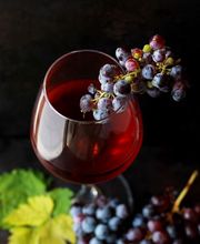 Vinenzo Weinhandel GmbH Bild 3