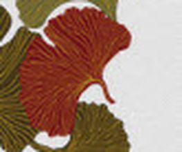 Praxis für traditionelle chinesische Medizin - Barbara Schatt Bild 3