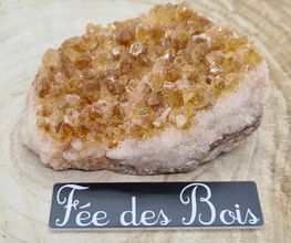 Fée des Bois image 12