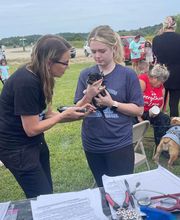 Country Hills Veterinary Hospital: Greene Mark DVM image 1