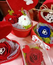 Gallery Professionale