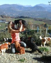 DU SOUVENIR DES DICKS image 2