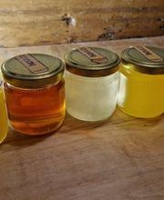 ApiZUG Bio srl immagine 2