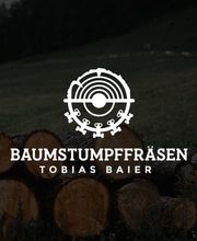 Baumstumpffräsen Tobias Baier Bild 14